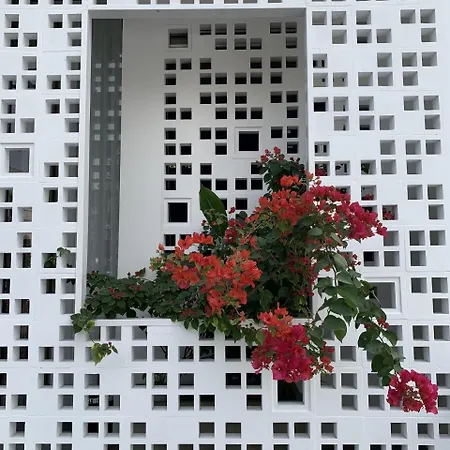 La An Homestay Hoi An Exterior photo